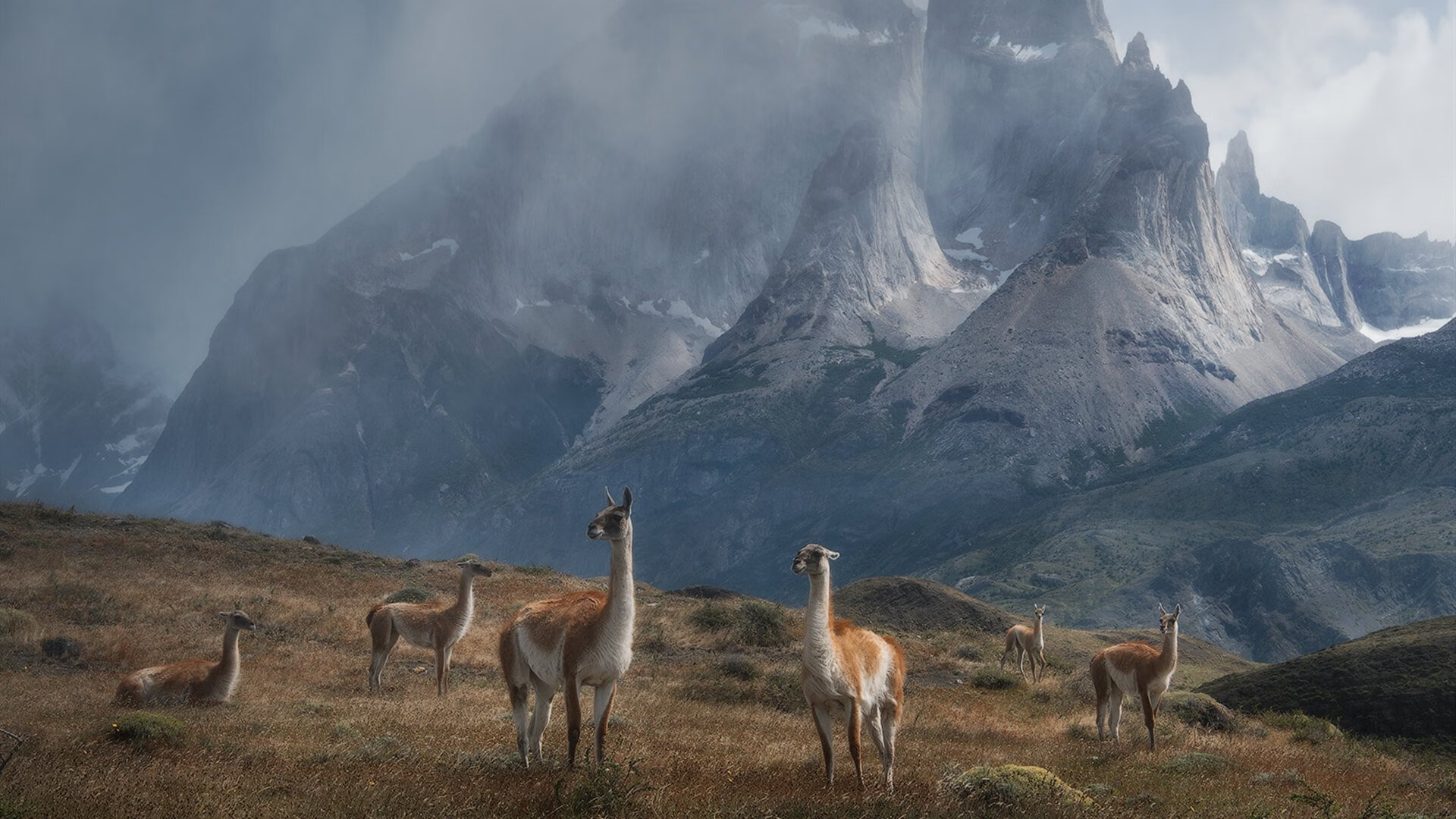 巨星之夜！米切尔一己之力改写德甲争冠格局，这不仅是完美，更是艺术