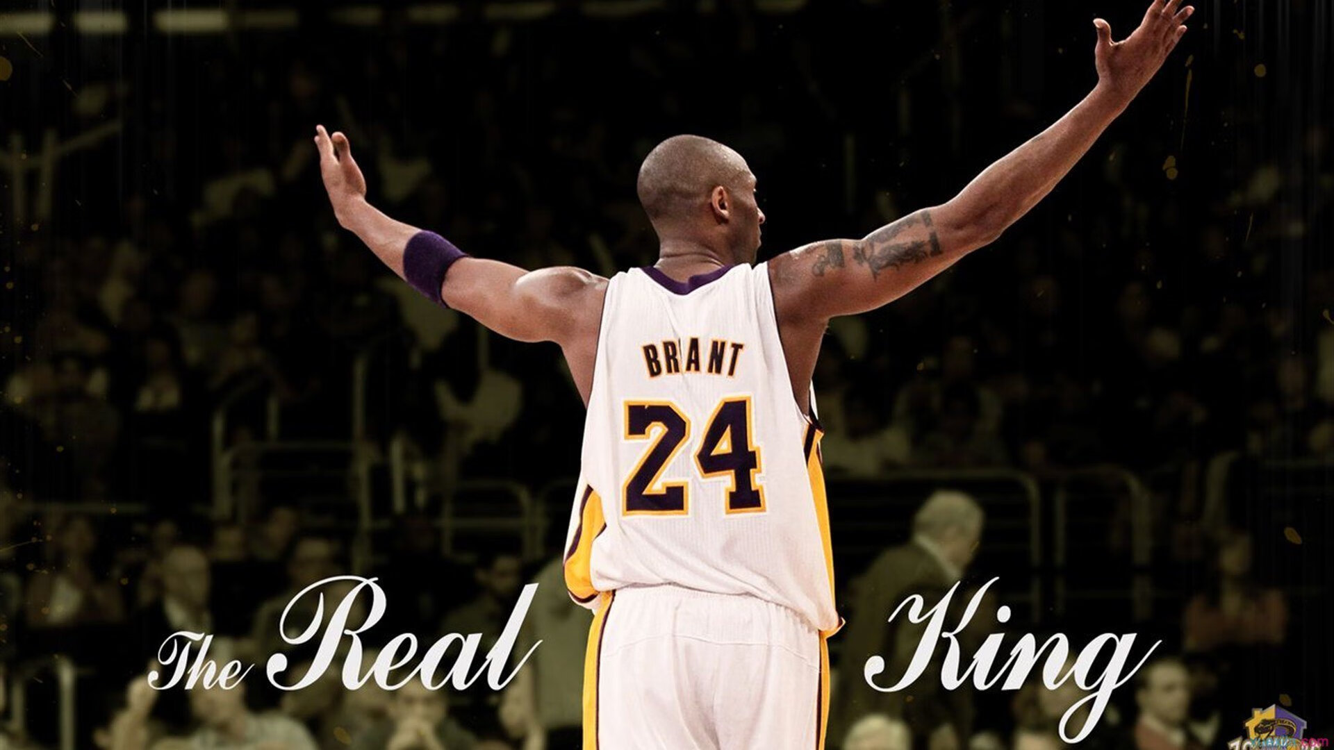 骑士vs雄鹿，从约基奇关键战不手软，看球星如何在决胜时刻主宰赛场